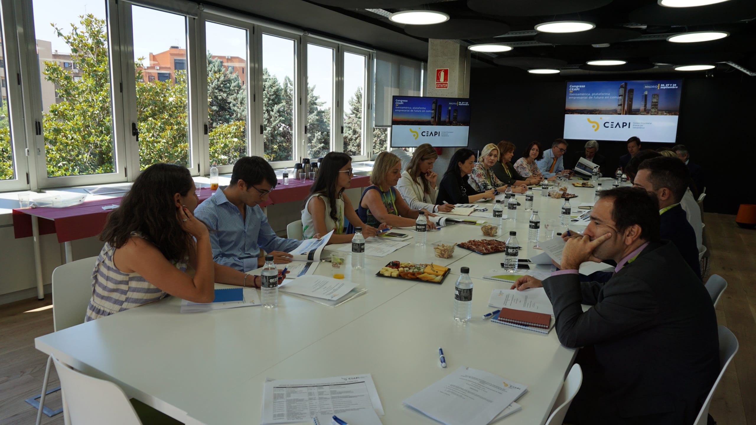 Segundo encuentro de la Comisión de Comunicación del CEAPI para preparar el Congreso Iberoamericano