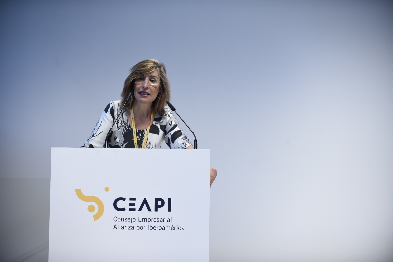La transformación empresarial y los nuevos modelos de negocio centran la primera jornada del Congreso CEAPI
