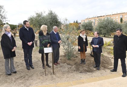 El Ayuntamiento de Madrid recibe de manos de CEAPI el olivo símbolo de paz que el Papa obsequió a la ciudad a través de Scholas